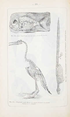 Мушкетов И.В. Физическая геология. [В 2 т.]. Т. 1-2. 2-е изд., значит. передел. СПб., 1899-1906.